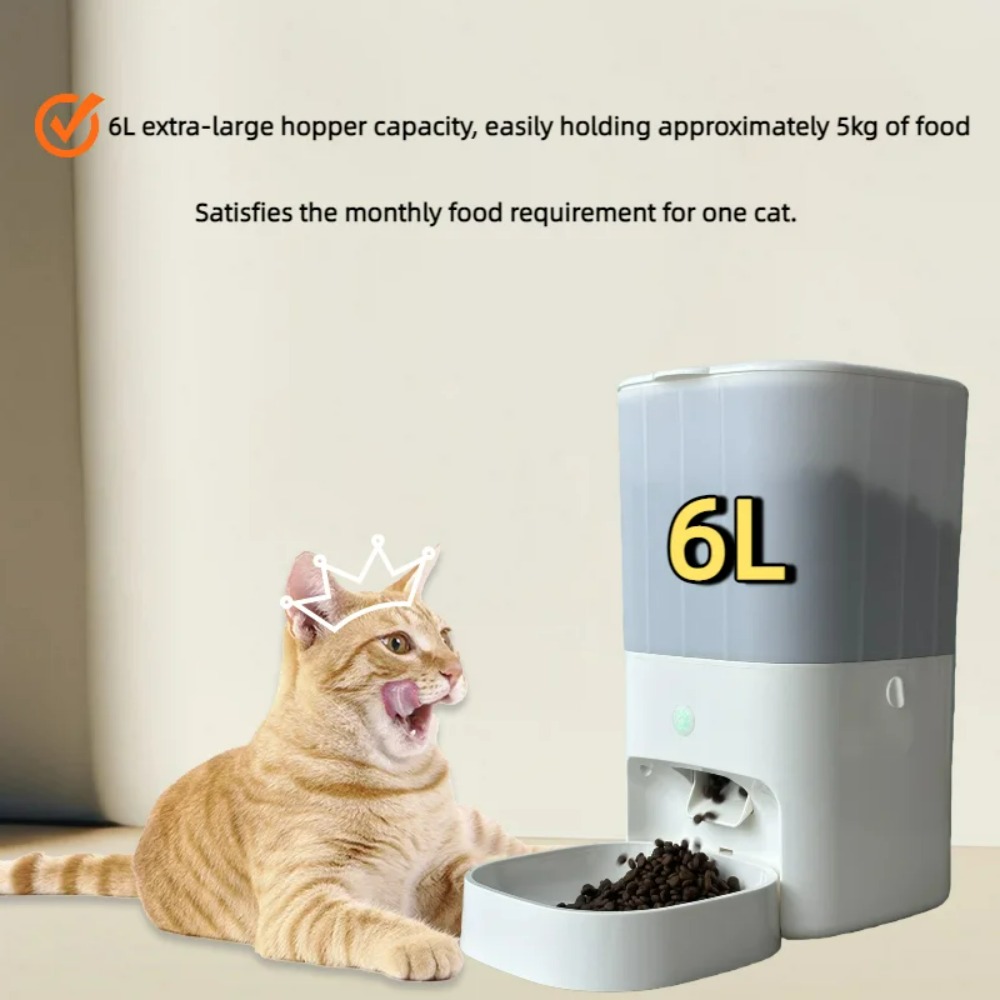 6L Automatic Timed Feeder Pet  - đánh giá và giá Automatic Cat Feeder 6L Timed