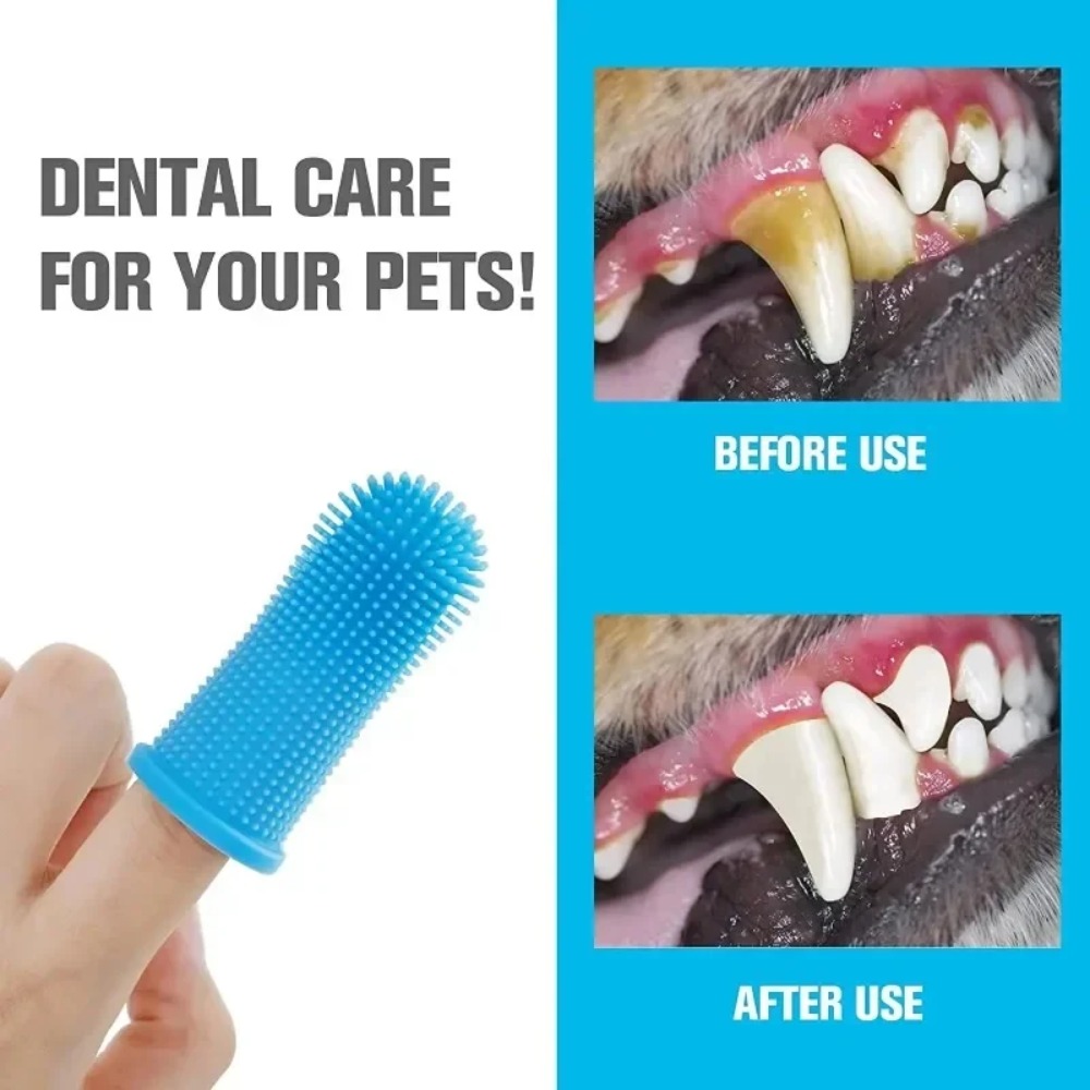 Pet Finger Toothbrush, Silicon - đánh giá và giá Pet Fountain Cleaning Kit