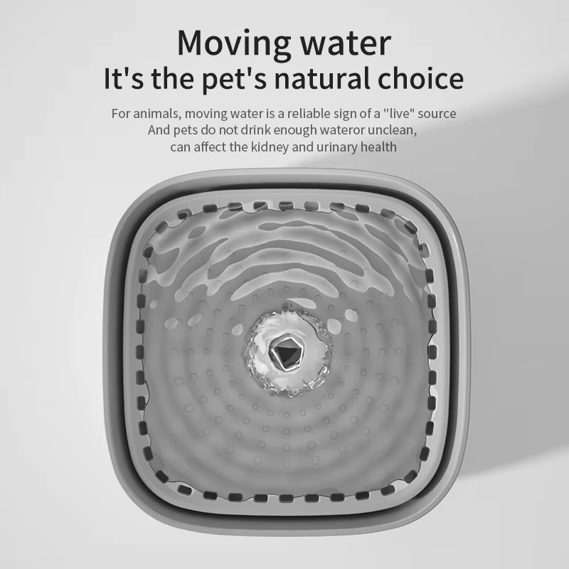 101oz/3L Pet Water Fountain Au - đánh giá và giá Automatic Cat Water Dispenser 3L