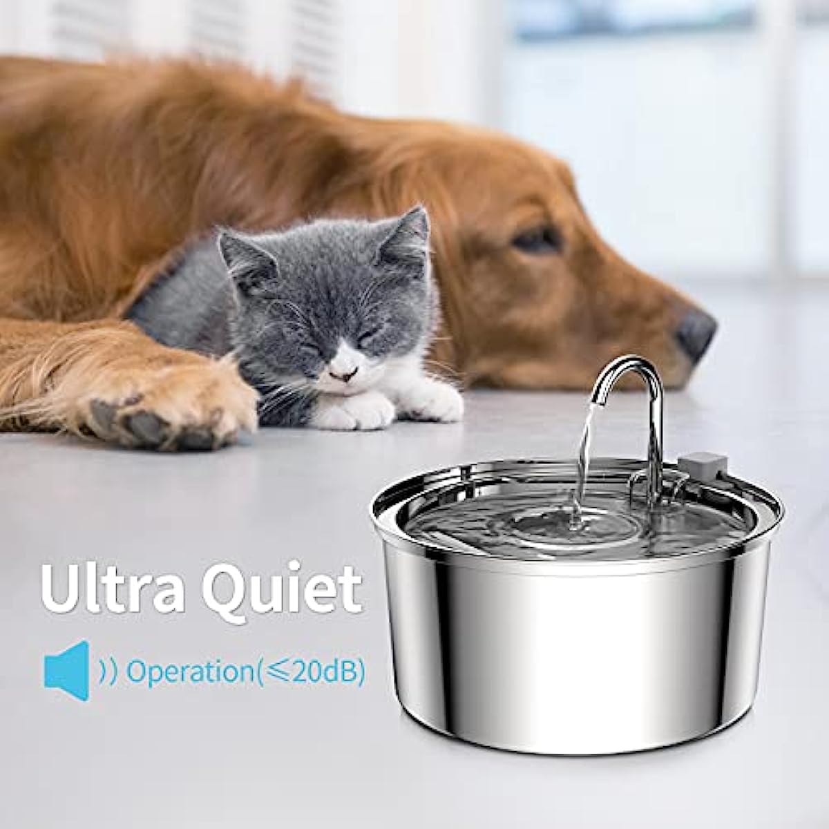 Blurams Indoor Security Camera - đánh giá và giá Smart Pet Feeder Camera Wifi