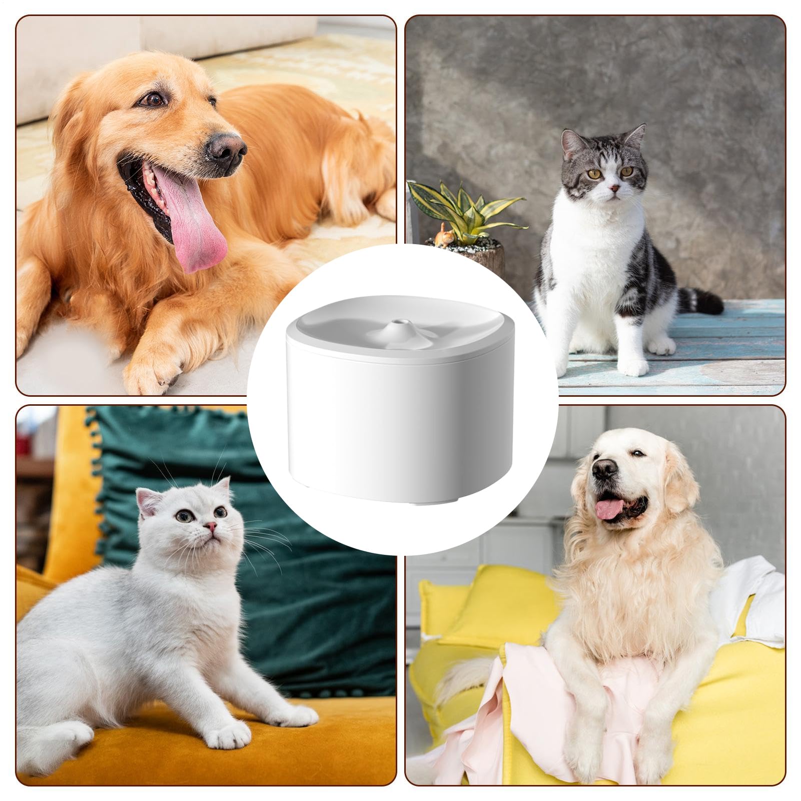 Cat Water Fountain | 3L Quiet  - đánh giá và giá Automatic Cat Water Dispenser 3L