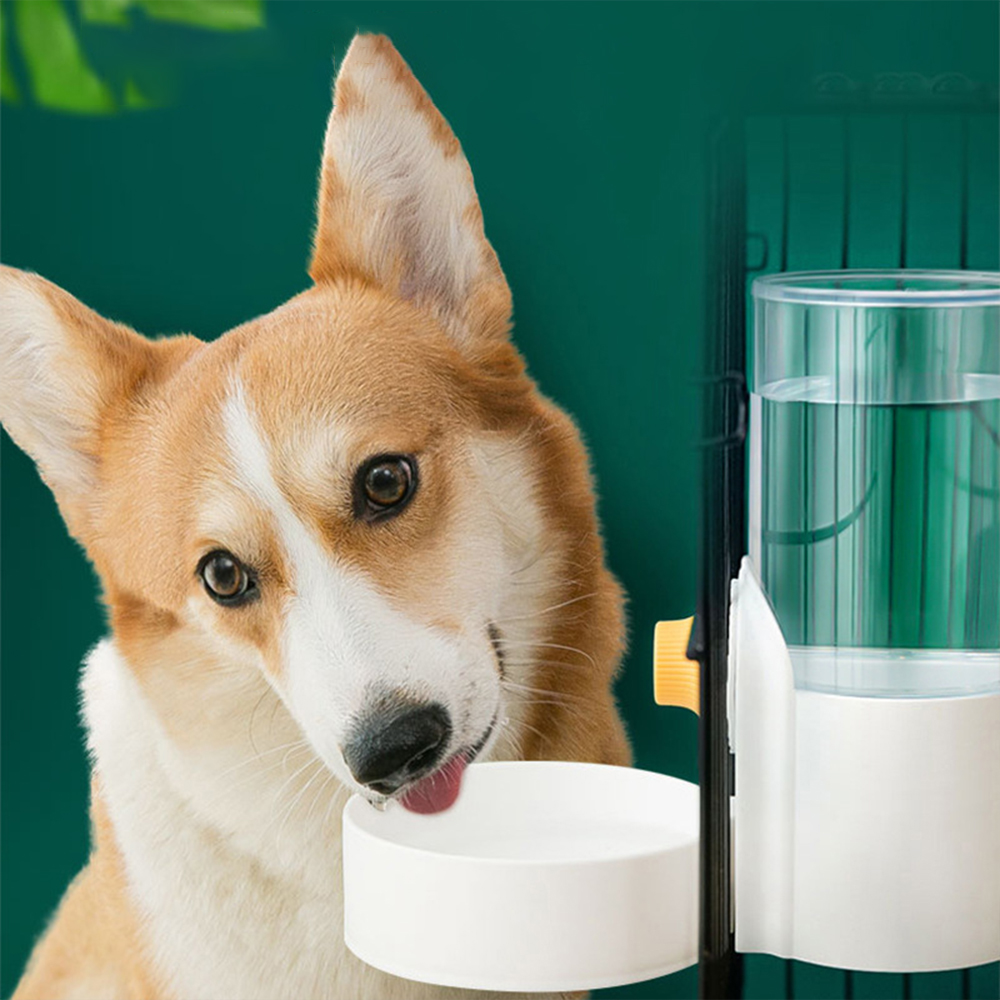 Mèo Lồng Treo Tự Động Vòi Nước - đánh giá và giá Dog Water Fountain Large