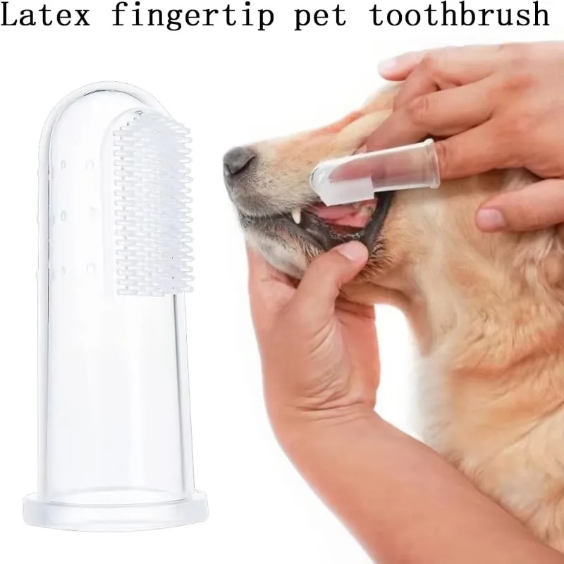 Bàn chải đánh răng ngón tay si - đánh giá và giá Pet Fountain Cleaning Kit