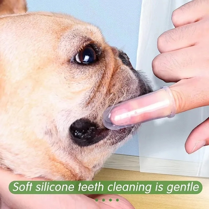 Bàn chải đánh răng ngón tay si - đánh giá và giá Pet Fountain Cleaning Kit