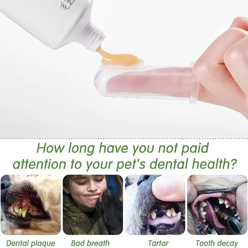Bàn chải đánh răng ngón tay si - đánh giá và giá Pet Fountain Cleaning Kit