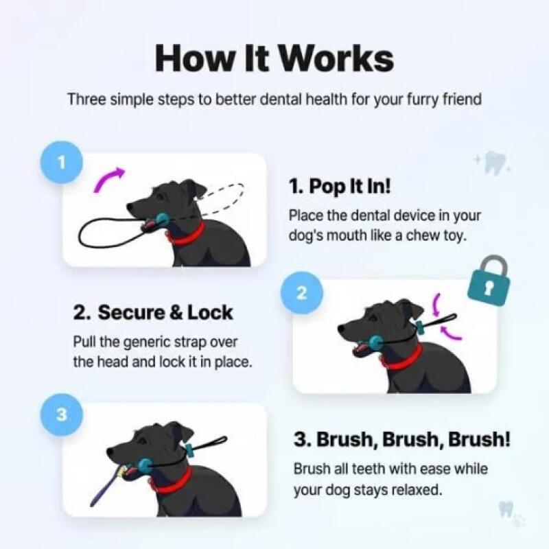 Dual Function Pet Dental Chew  - đánh giá và giá Pet Fountain Cleaning Kit
