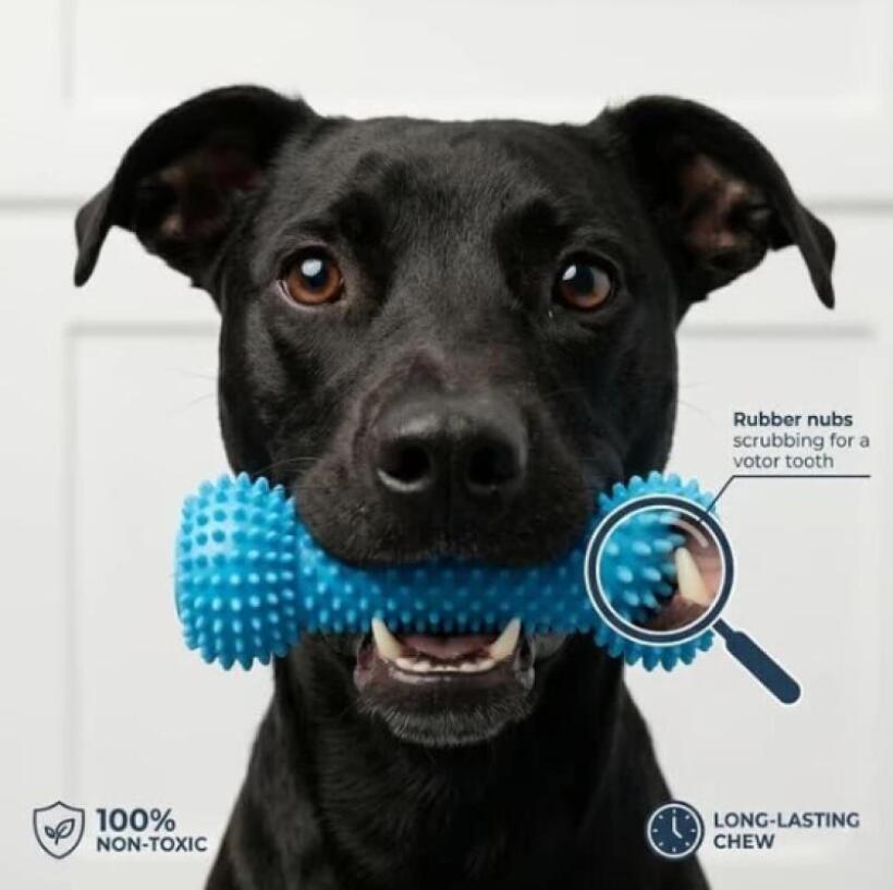 Dual Function Pet Dental Chew  - đánh giá và giá Pet Fountain Cleaning Kit