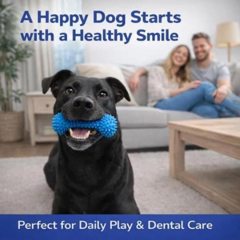 Dual Function Pet Dental Chew  - đánh giá và giá Pet Fountain Cleaning Kit