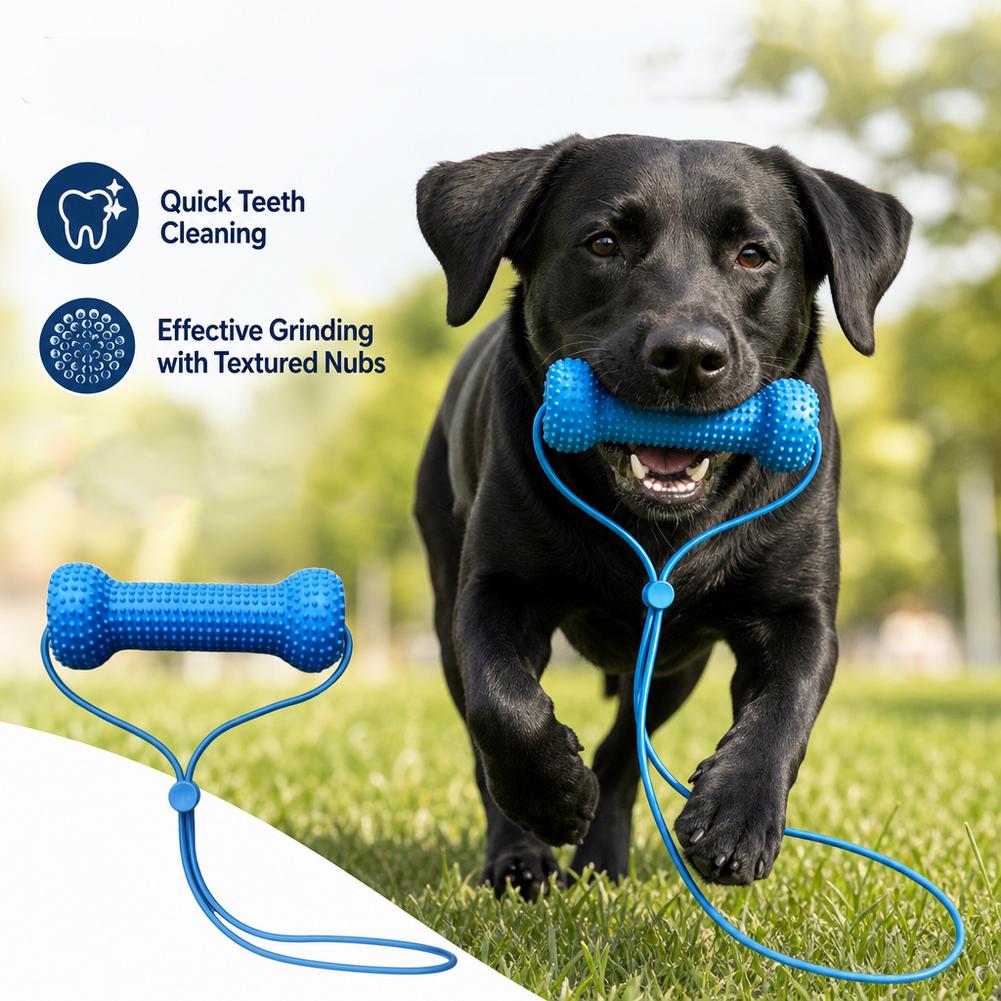 Pet Dental Care Chewing Toy 2i - đánh giá và giá Pet Fountain Cleaning Kit
