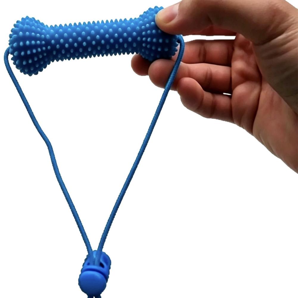 Pet Dental Care Chewing Toy 2i - đánh giá và giá Pet Fountain Cleaning Kit
