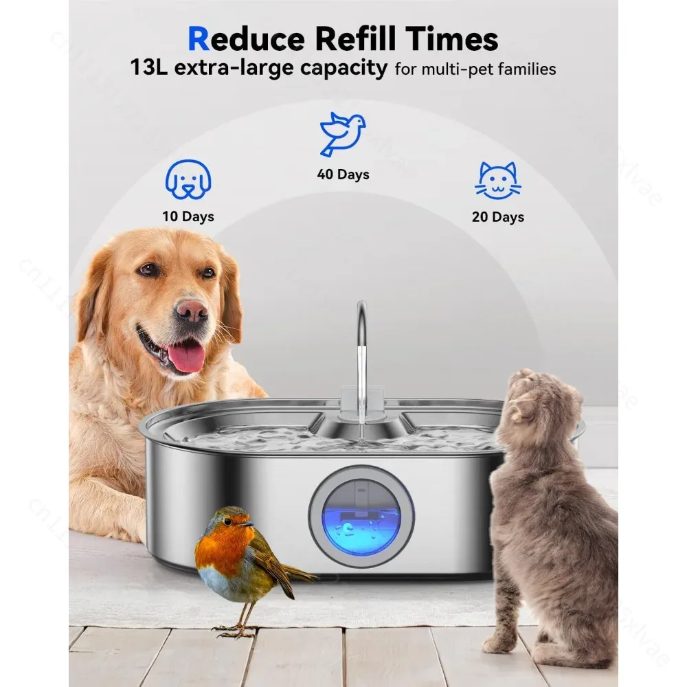 13L Stainless Steel Automatic  - đánh giá và giá Dog Water Fountain Large
