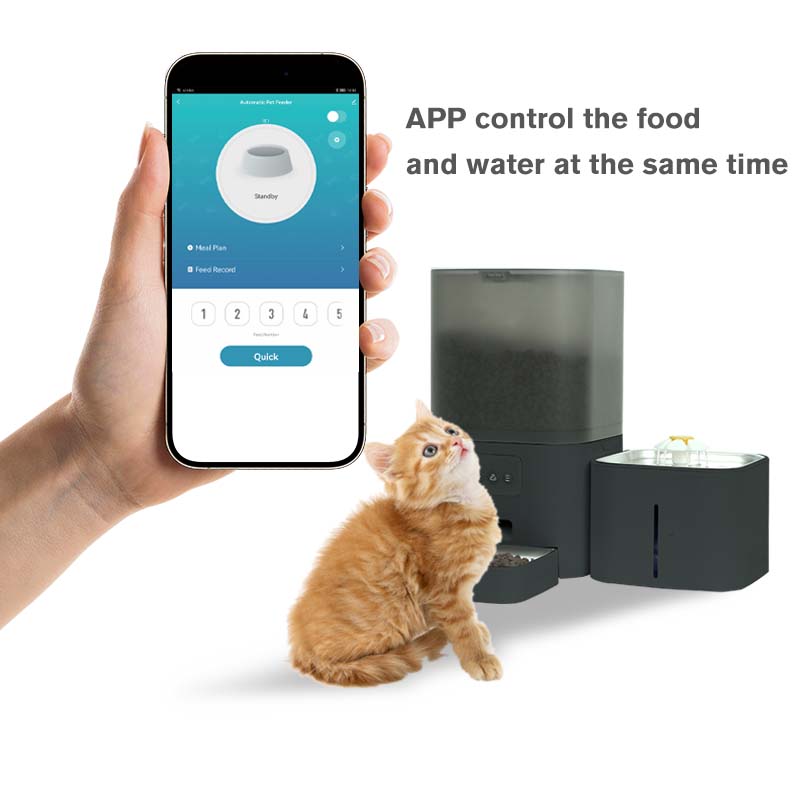 Wifi APP Control Voice Call Fu - đánh giá và giá Automatic Cat Feeder 6L Timed