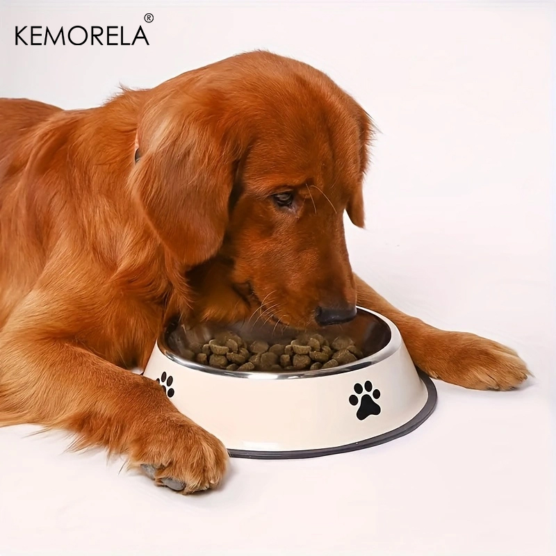 Stainless Steel Pet Dog Bowl F - đánh giá và giá Pet Water Fountain Stainless Steel