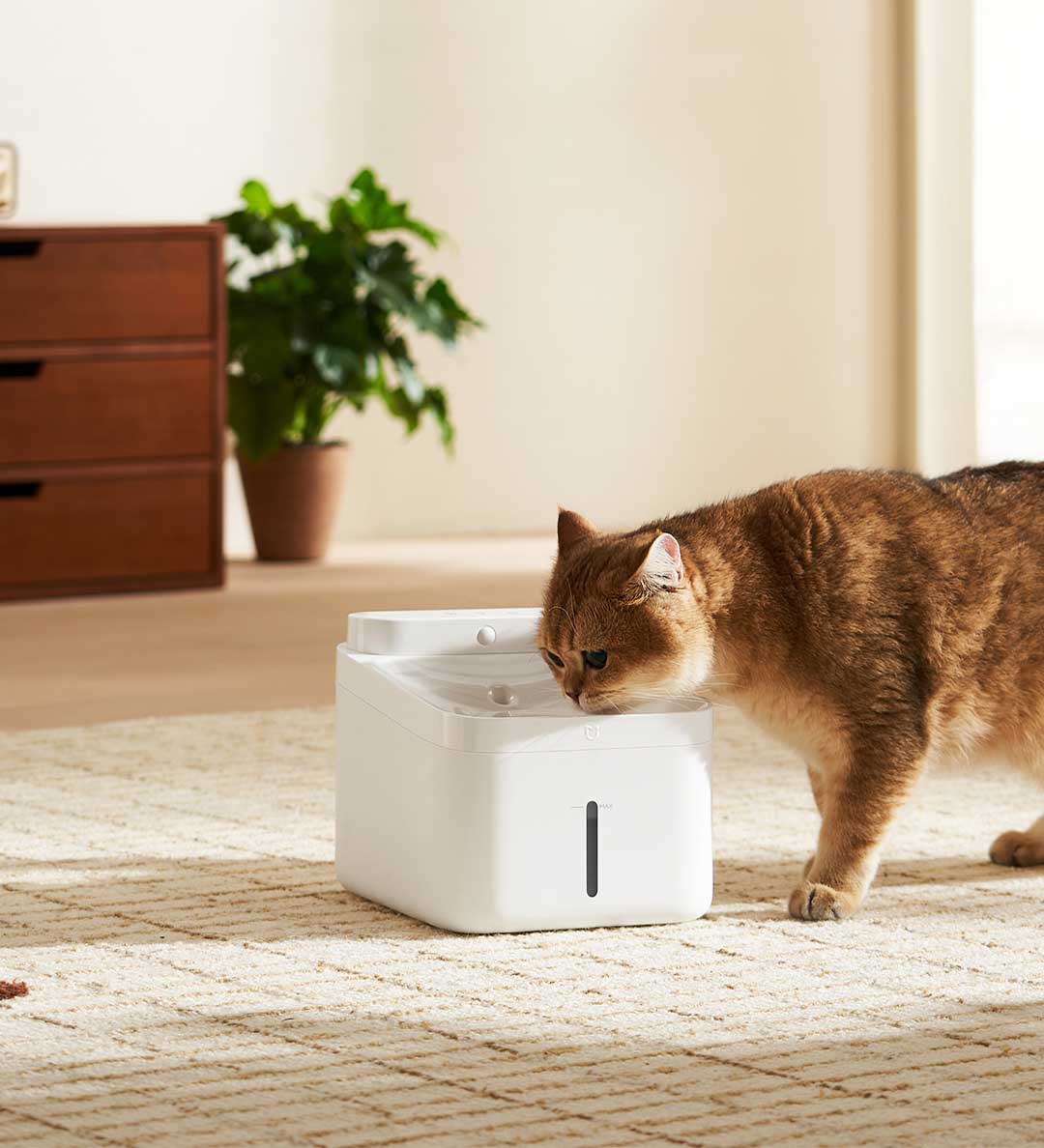 New MIJIA Smart Pet Drinking F - đánh giá và giá Smart Pet Water Fountain Wifi