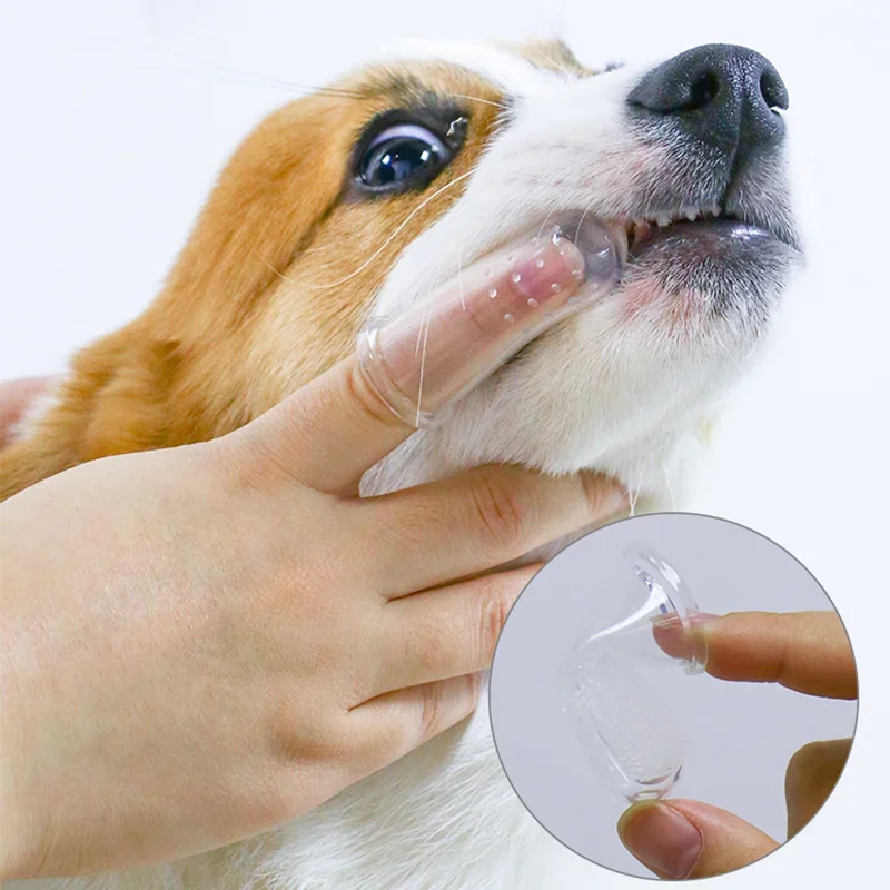Super Soft Pet Finger Toothbru - đánh giá và giá Pet Fountain Cleaning Kit