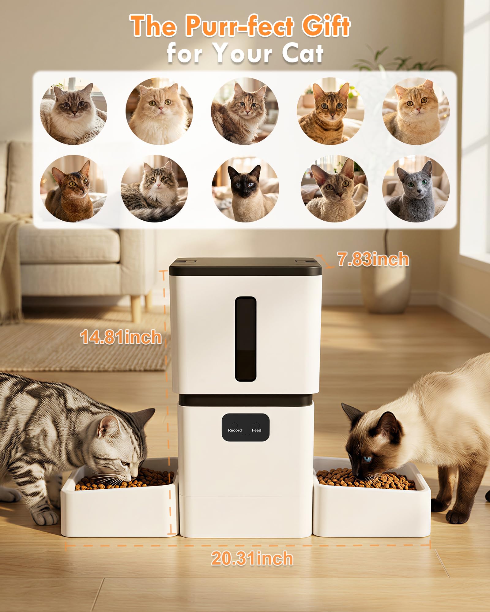 5GHz WiFi 8L Smart Automatic P - đánh giá và giá Smart Pet Feeder Camera Wifi